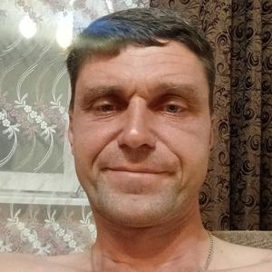 Владимир, 43 года, Струги Красные