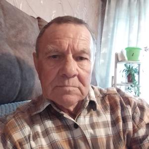 Владимир, 71 год, Курган