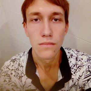 Николай, 28 лет, Дмитров