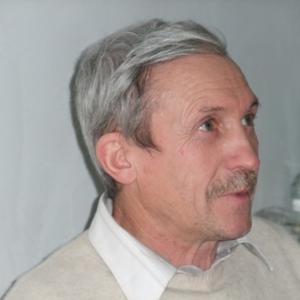Александрович, 60 лет, Альметьевск