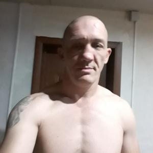 Виталя, 43 года, Тамбов