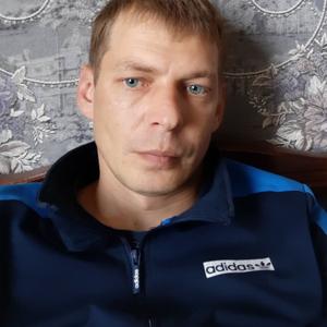 Алексей, 39 лет, Луховицы