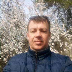 Василий, 45 лет, Липецк