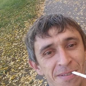 Владимир, 41 год, Димитровград
