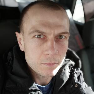 Дмитрий, 46 лет, Звенигород