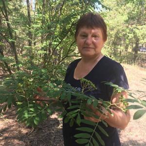 Наталья, 64 года, Камышин