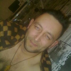 Владимир, 42 года, Волковское