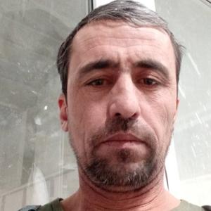 Раис, 44 года, Искитим