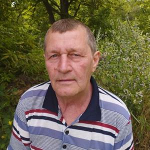 Александр, 62 года, Ростов-на-Дону