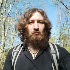 Andrey, 37 лет, Санкт-Петербург