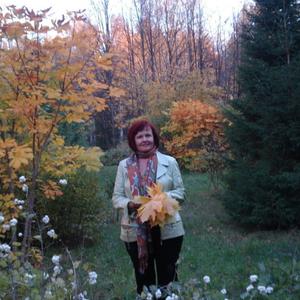 Нина Павленко, 71 год, Волгодонск