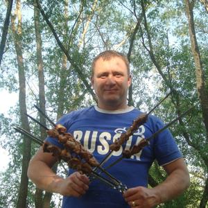 Александр, 41 год, Воротынск