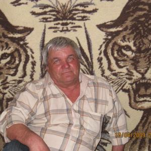 Анатолий, 74 года, Великий Новгород