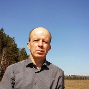 Александр, 56 лет, Подольск