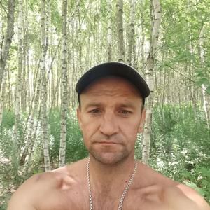 Игорь, 40 лет, Тула