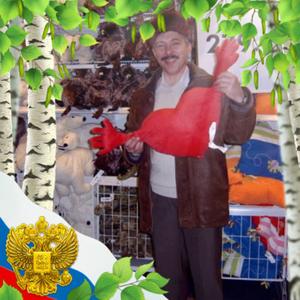 Анатолий, 61 год, Обнинск