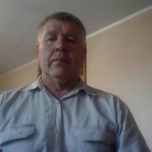 Владимир, 65 лет, Тула