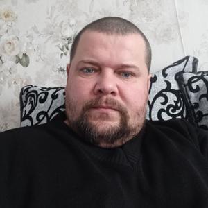 Андрей, 40 лет, Новозыбков