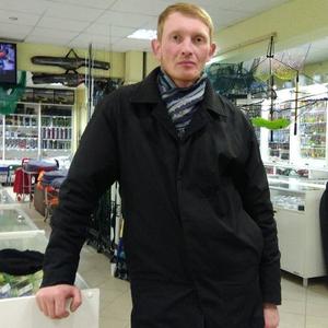 Андрей, 41 год, Вологда