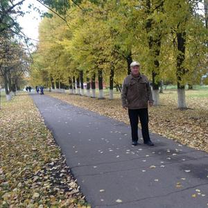 Парни в Саранске: Владимир, 73 - ищет девушку из Саранска