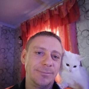 Василий, 40 лет, Витебск
