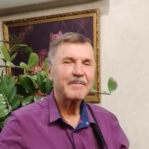 Сергей, 70 лет, Волжский
