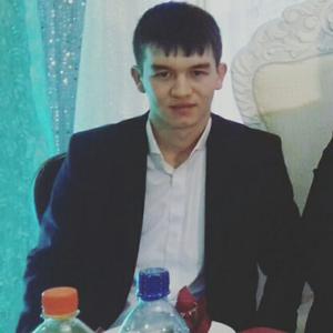Миша, 26 лет, Нижний Новгород