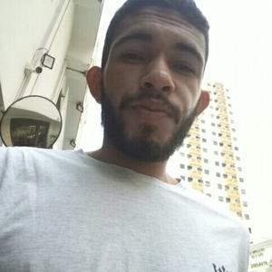 Vinicius Da Silva Correia, 31 год, So Paulo
