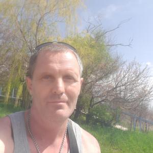 Владимир, 43 года, Таганрог