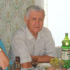 Владимир, 78 лет, Нижний Новгород
