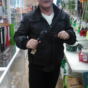 Альберт, 54 года, Серпухов