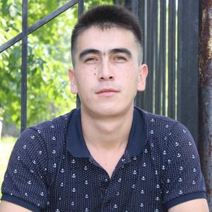 Толя, 29 лет, Новосибирск