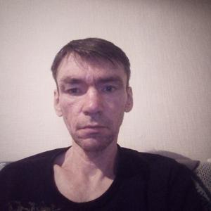 Николай, 44 года, Череповец