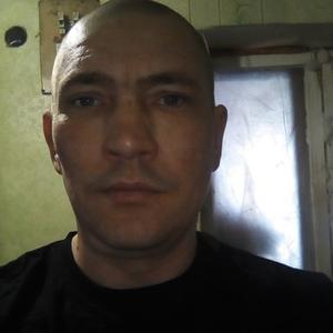 Андрей, 43 года, Ульяновск