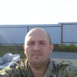 Сергей Меньшиков, 42 года, Киров