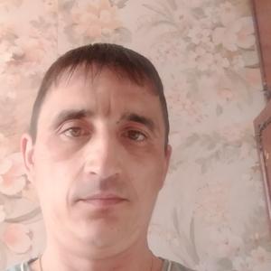 Дима, 40 лет, Тюмень