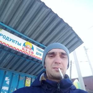 Владимир Птицын, 37 лет, Омск