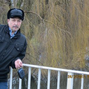 Владимр, 65 лет, Алтайский
