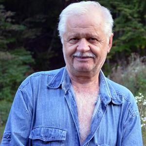 Валерий, 74 года, Нальчик