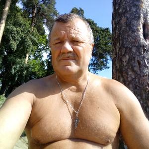Парни в Сертолово: Иван, 65 - ищет девушку из Сертолово
