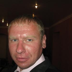 Денис, 44 года, Ярославль
