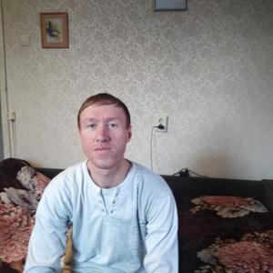 Анатолий, 41 год, Пушкин