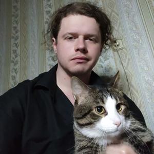 Влад, 28 лет, Рыбинск