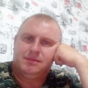 Саша, 44 года, Витебск