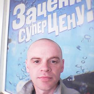Dima, 46 лет, Калининград