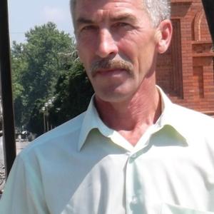 Николай Кукушкин, 63 года, Череповец