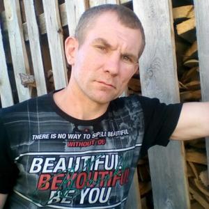 Александр Кокарев, 43 года, Красавино