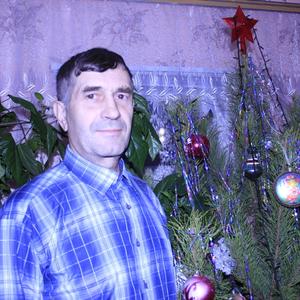 Владимир Весёлкин, 66 лет, Русский Камешкир