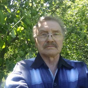 Сергей, 67 лет, Нижний Новгород