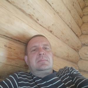 Митяй, 44 года, Вологда